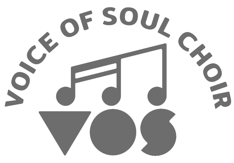 VOS Logo